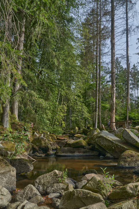 Gemeinde Waldkirchen Landkreis Freyung-Grafenau Saußbachklamm (Dirschl Johann) Deutschland FRG